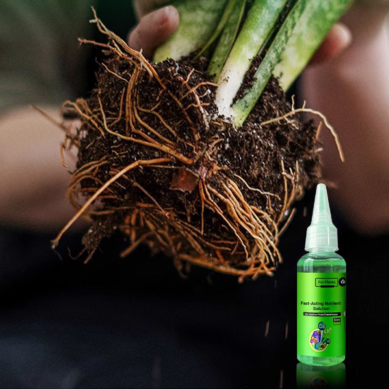 Schnell wirkende Nährstofflösung für Pflanzen(50ml)