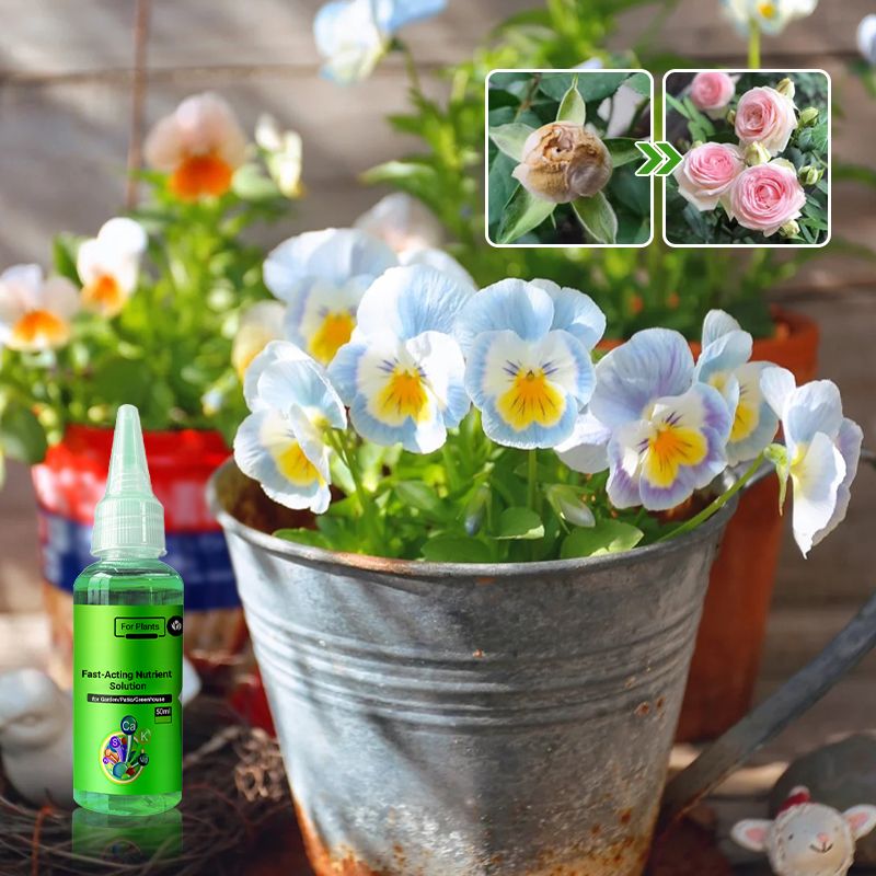 Schnell wirkende Nährstofflösung für Pflanzen(50ml)