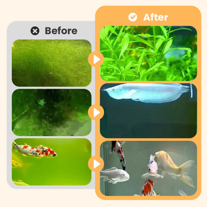 🎉Mehr kaufen, mehr sparen💥 Algen- & Moosentferner für das Aquarium - Sichere Wasseraufbereitung