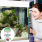 ⏳Desconto de 50% por tempo limitado💥🚀Compre 3 e leve 2 grátis♻️💧Potente comprimido purificador de água para aquários