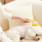 📢📢30% OFF !! ⏰ Pet Bath Brush with Soap Dispenser – Long Handle, No Bending, Soft & Efficient, Easy Bath at Home 🧼✨