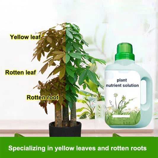 Solução universal de nutrientes para plantas | Raízes fortes, solo saudável, crescimento melhorado
